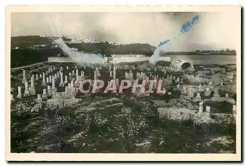 Cartes postales Ruines de Carthage Basilique de Damous Karitas