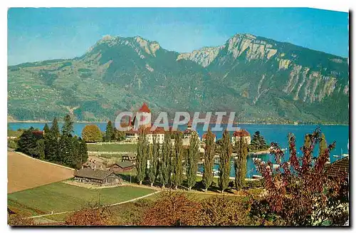 Cartes postales moderne Splex Rallostocke