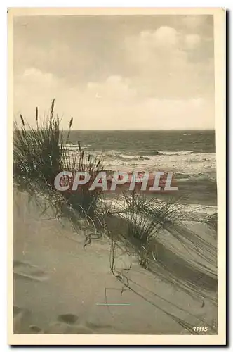 Cartes postales moderne Dunne