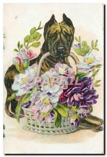 Cartes postales Fleurs Chien