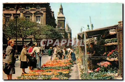 Cartes postales moderne Paris Le Quai aux Fleurs