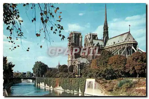 Cartes postales Paris Notre Dame et la Seine