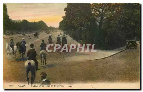 Ansichtskarte AK Paris l'Avenue du Bois de Boulogne Chevaux