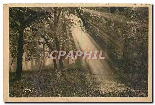 Cartes postales Paris Dans le Parc de Saint Cloud Matinee d'Automne