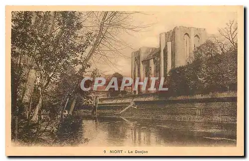 Cartes postales Niort le Donjon