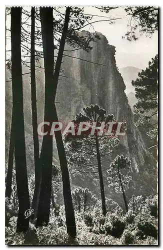 Cartes postales moderne Calanche de Piana le Grand Rocher