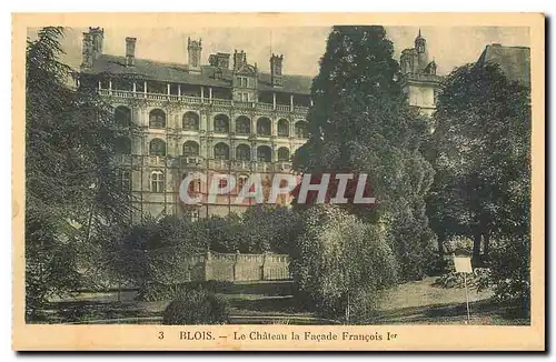 Cartes postales Blois Le Chateau la Facade Francois I