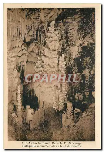 Cartes postales L'Aven Armand Dans la Foret Vierge Stalagmite monumentale au bord du Gouffre