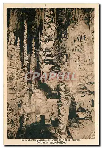 Cartes postales L'Aven Armand Dans la Foret Vierge Colonnes encorbellees