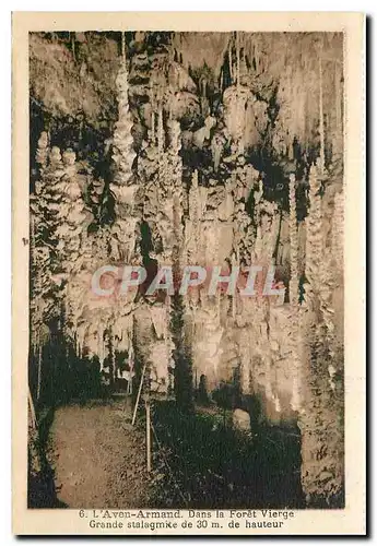 Cartes postales L'Aven Armand Dans la Foret Vierge Grande Stalagmite