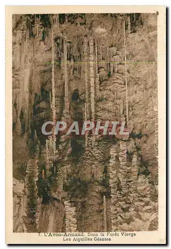 Cartes postales L'Aven Armand Dans la Foret Vierge Les Aiguilles Geantes