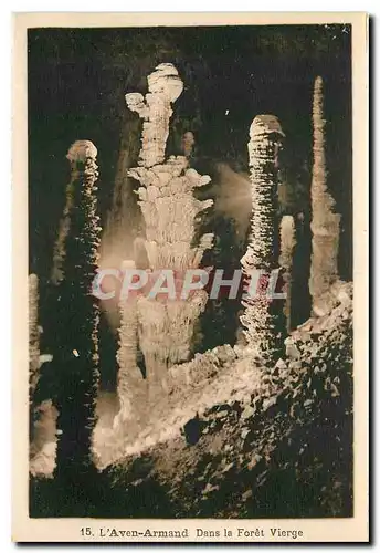 Cartes postales L'Aven Armand Dans la Foret Vierge
