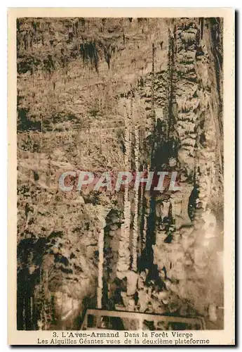 Cartes postales L'Aven Armand Dans la Foret Vierge Les Aiguilles Geantes vues de la deuxieme plateforme