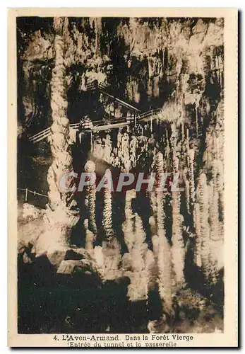 Cartes postales L'Aven Armand Dans la Foret Vierge Entree du tunnel et la passerelle