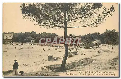 Cartes postales Le Bureau Saint Palais Vue d'ensemble de la Plage a Maree basse