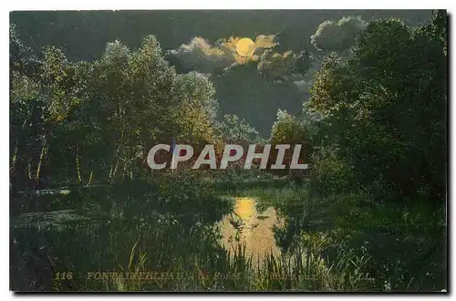 Cartes postales Fontainebleau La Foret