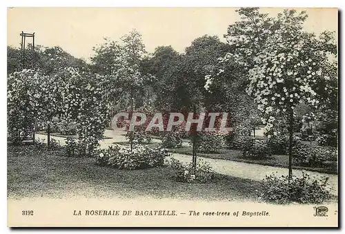 Cartes postales La Roseraie de Bagatelle