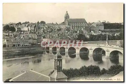 Cartes postales Blois Panorama vers la Cathedrale