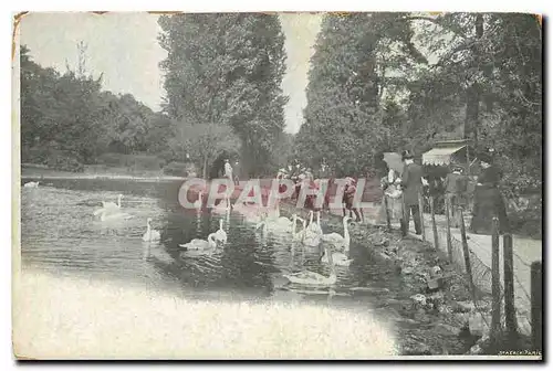 Ansichtskarte AK Paris Bois de Boulogne Cygnes