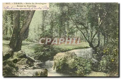 Ansichtskarte AK Paris Bois de Boulogne Sous la Feuillee