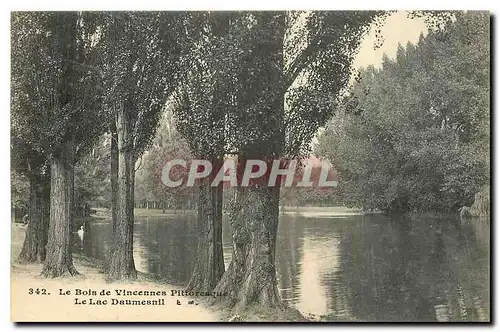 Cartes postales Le Bois de Vincennes Pittoresque Le Lac Daumesnil