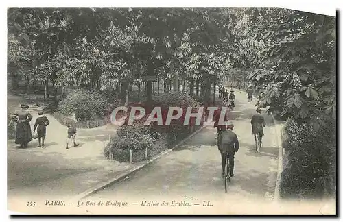 Ansichtskarte AK Paris le Bois de Boulogne L'Allee des Erables Velo Cycle