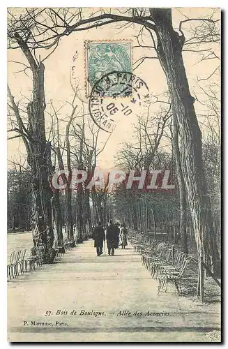 Ansichtskarte AK Bois de Boulogne Allee des Aceacias