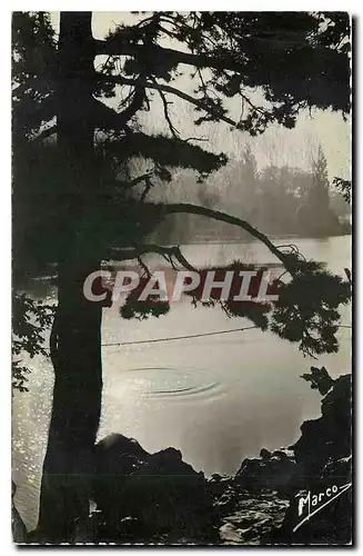 Cartes postales Nos Jolis Lacs Le Bois de Vincennes Le Lac Daumesnil