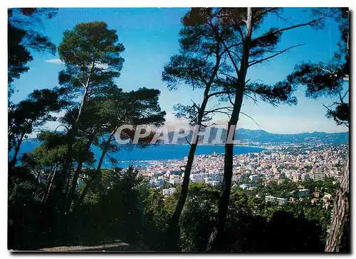 Cartes postales moderne La Cote d'Azur Cannes A M La Ville et l'Esterel vus de Super Cannes