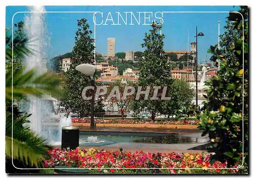 Cartes postales moderne La Cote d'Azur Cannes Le Suquet