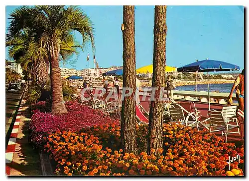 Cartes postales moderne Couleurs et Lumiere de France La Cote d'Azur miracle de la Nature Cannes Alpes Maritimes La Croi