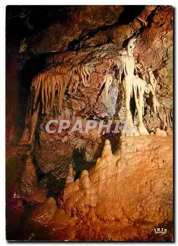 Cartes postales moderne La Cote d'Azur Les Grottes de Saint Cezaire Alpes Maritimes Le Squelette et les orgues