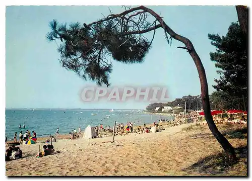 Cartes postales moderne Cote de Beaute Ronce les Bains La Plage de la Cepe