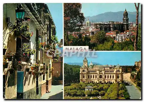 Cartes postales moderne Malaga Beautes de la Ville