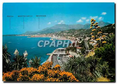 Cartes postales moderne Riviera dei Fiori Frontiera Italo Francese Pas Ponte S Ludovico sur le fond Menlone