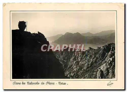 Cartes postales moderne La Corse Ile de Beaute Dans les calanche de Piana