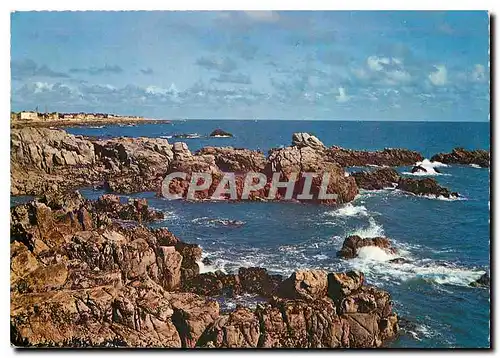 Cartes postales moderne Quiberon La Cote Sauvage