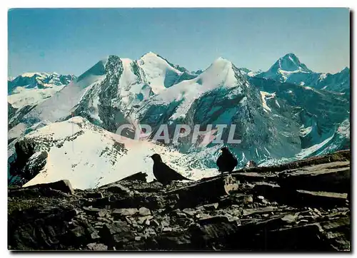 Cartes postales moderne Blick vom Wildstrubel