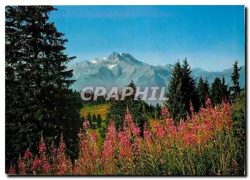 Moderne Karte Villars s/Ollon Les Dents du Midi