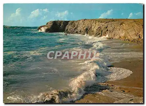 Cartes postales moderne Quiberon Morbihan La Cote Sauvage