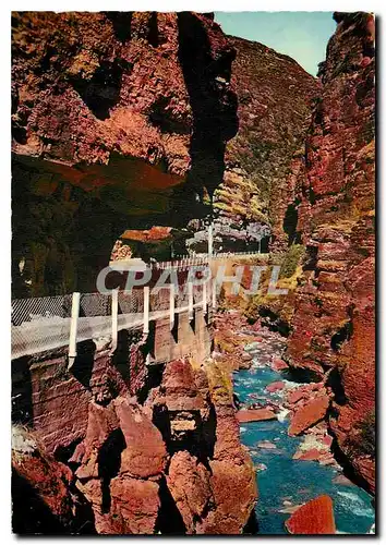 Cartes postales moderne Les Alpes Maritimes Gorges du Cians La Petite Clue