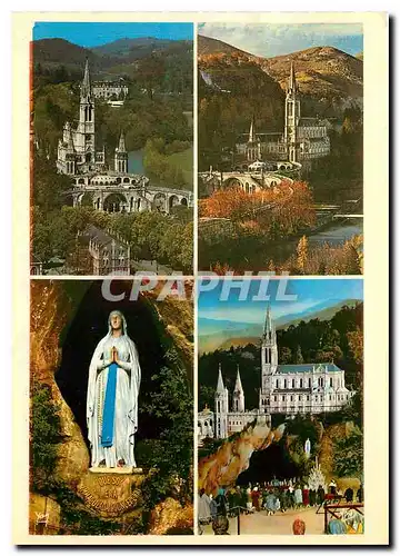 Cartes postales moderne Souvenir de Lourdes La Basilique vue du Chateau Fort La Basilique et le Gave La Vierge de la Gro