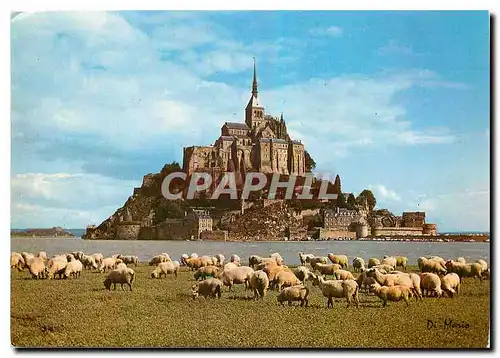 Cartes postales moderne Le Mont Saint Michel