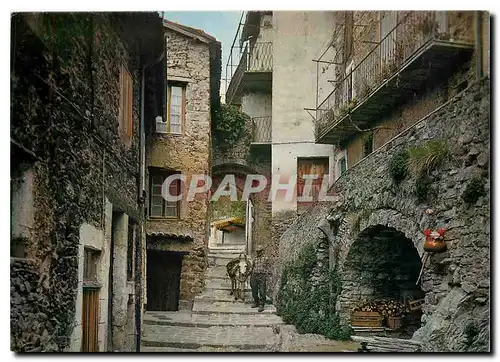 Cartes postales moderne Luceram A M Vieille rue pittoresque