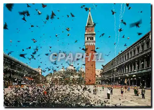 Cartes postales moderne Venezia Place St Marc Volee de pigeons