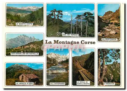 Cartes postales moderne Couleurs et Lumiere de France La Corse Oasis de Beaute La Montagne Corse