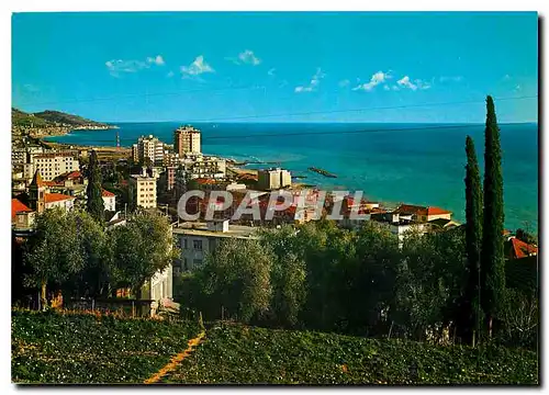 Cartes postales moderne Riviera dei Fiori Arma di Taggia Panorama occidental