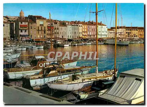 Cartes postales moderne La Cote d'Azur Saint Tropez Var Le Port Bateaux de peche