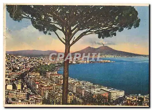 Cartes postales moderne Napoli Panorama