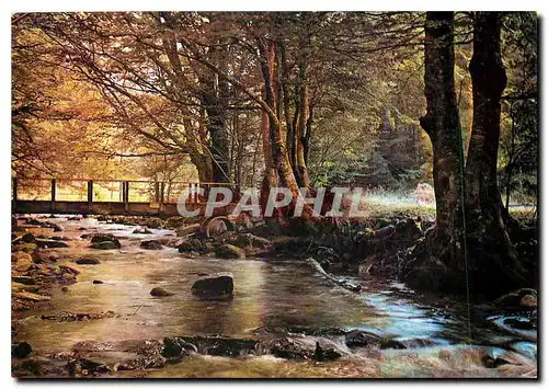 Cartes postales moderne Sites Pyrenees L'Oriege